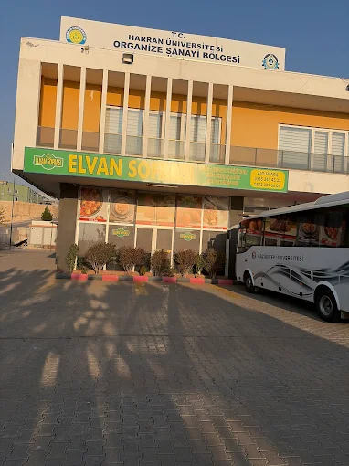 ORGANİZE ELVAN SOFRASI